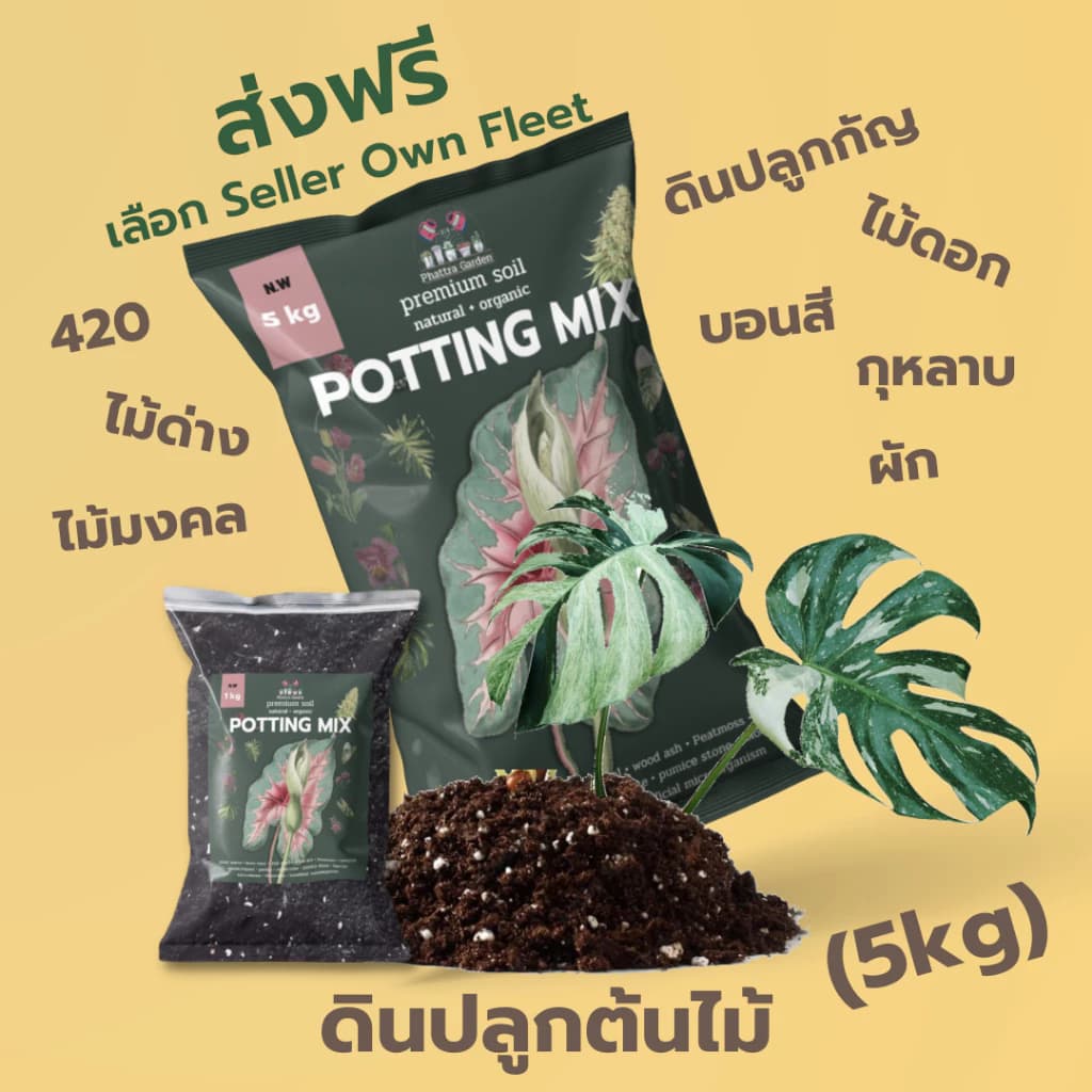 ດິນປູກຕົ້ນໄມ້, ດິນພ້ອມປູກ, ສົ່ງຟຣີ ຄຸນນະພາບດີ (5kg), ດິນ 420, ສາມາດປູກພືດທຸກຊະນິດ, ສະໝຸນໄພ, ດອກ, ຜັກ, ແນວພັນ, ພືດຟອກອາກາດ (Sp-A012)