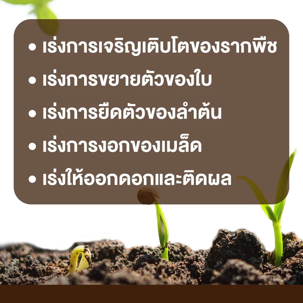 mall inline badge[6 ซอง] BIONIC ไบโอนิค (พ.ด.1) 100 กรัม สารเร่ง 1 จุลินทรีย์การเกษตร จุลินทรีย์ดิน จุลินทรีย์ทำปุ๋ยหมัก(Sp-A012) - ภาพที่ 3