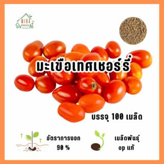 ແກ່ນມະເລັດພັນ ໝາກເຂືອເທດເຊີລີ່ ບັນຈຸ 100ເມັດ (Sp-A012) - ภาพที่ 2