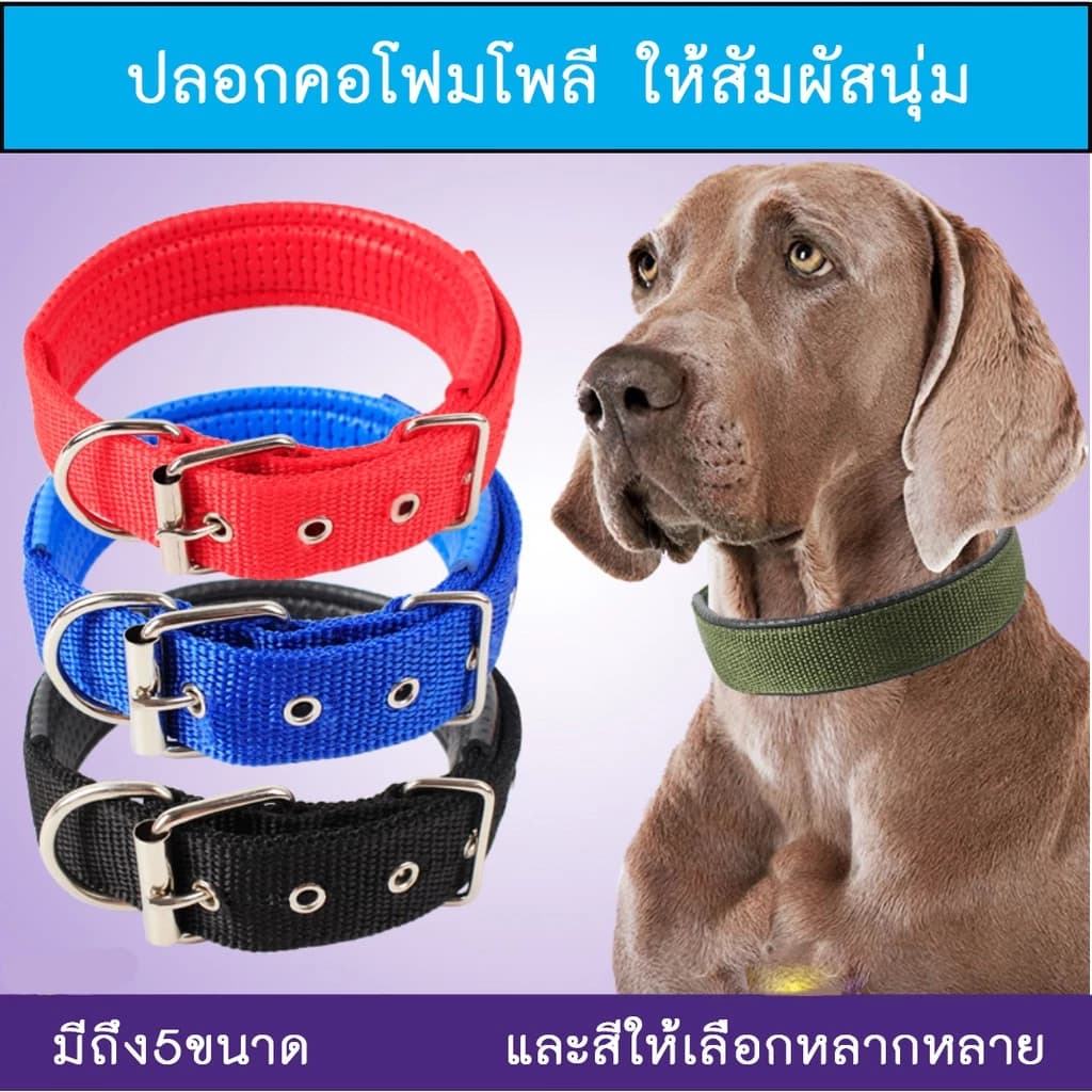 ປອກຄໍໝາ-ແມວ ແບບໄນຣລ່ອນ ປອກຄໍສັດລ້ຽງພັນໃຫຍ່ SP-A010